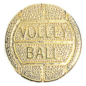 PCH06 - Volleyball Chenielle Letter Pin