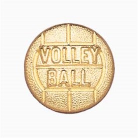 Chenielle Letter Pin - Volleyball