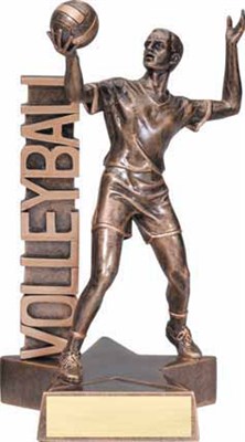 RST Male Volleyball Resin Figure