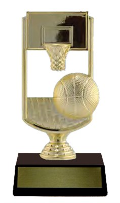 Basketball Hoop ECP 6