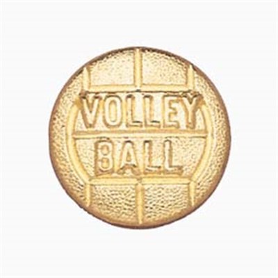 Chenielle Letter Pin - Volleyball