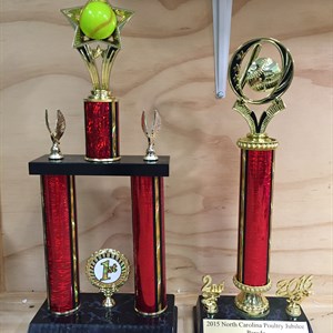 Victory Awards & Trophies